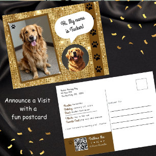 Carte Postale Visite de chien thérapeutique Gold Sparkle