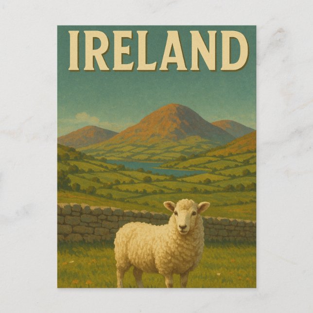 Carte Postale Visiter Irlande Sheep (Devant)