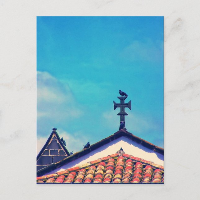 Carte Postale Visiteurs sur le toit : Funchal, Madeira (Portugal (Devant)