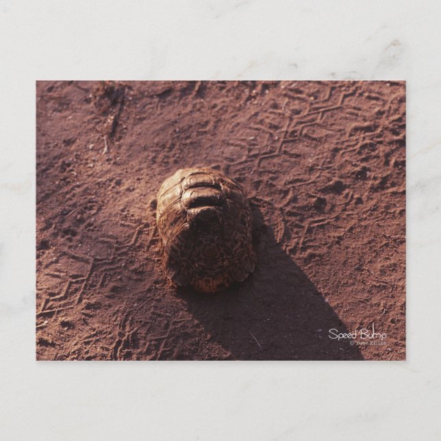 Carte Postale Vitesse (Devant)