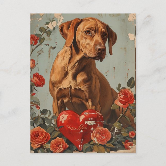 Carte Postale Vizsla Saint Valentin Vintage (Devant)