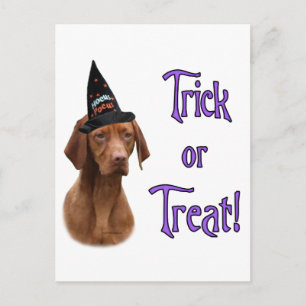Carte Postale Vizsla Trick