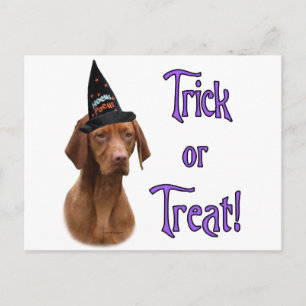 Carte Postale Vizsla Trick