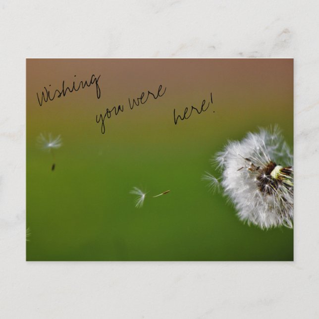 Carte Postale Vœux (Devant)