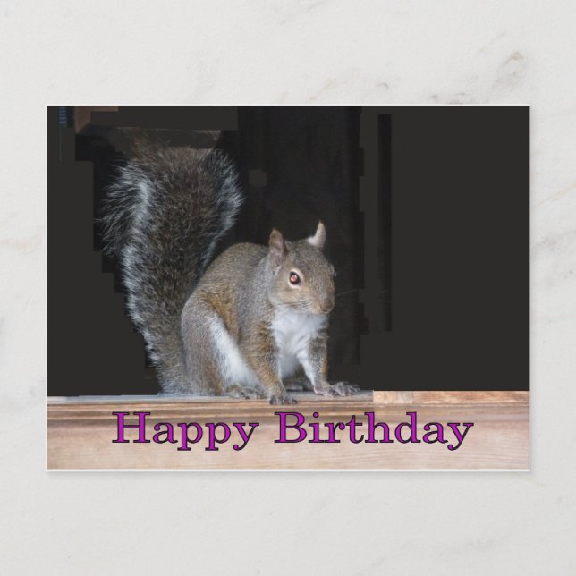 Carte Postale Voeux d'anniversaire de l'écureuil (Devant)