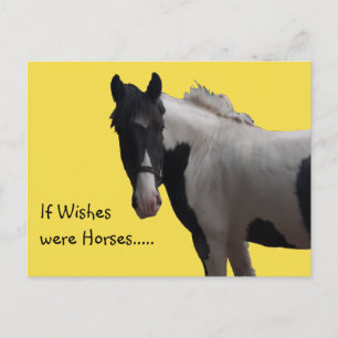 Carte Postale Vœux de poney paint pie à photo jaune