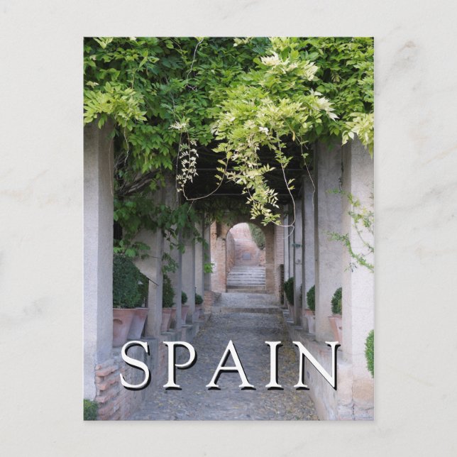 Carte Postale Voie couverte de feuillage, Espagne (Devant)