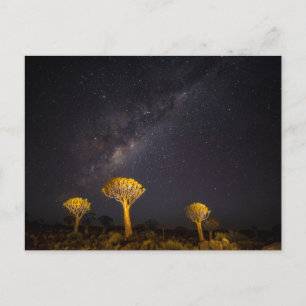 Carte Postale Voie lactée Quiver Tree   Keetmanshoop Namibie