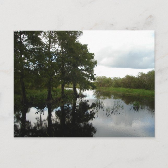 Carte Postale Voie navigable des Everglades (Devant)