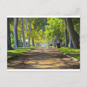 Carte Postale Voie pacifique
