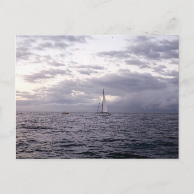 Carte Postale Voile à Hawaii II (Devant)