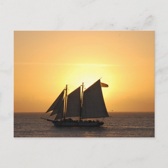 Carte Postale Voile au coucher du soleil (Devant)