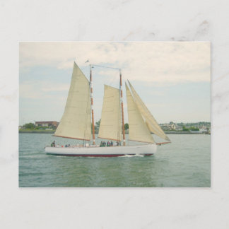 Carte Postale Voile bateaux Postale