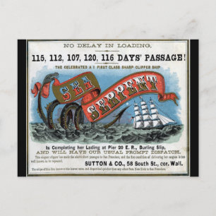 Carte Postale Voile clipper serpent de mer