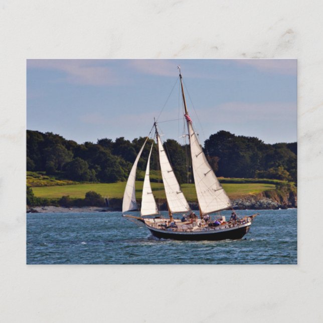Carte Postale Voile En Newport, Rhode Island, États-Unis (Devant)