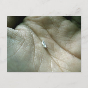 Carte Postale Voile le long de la ligne de vie