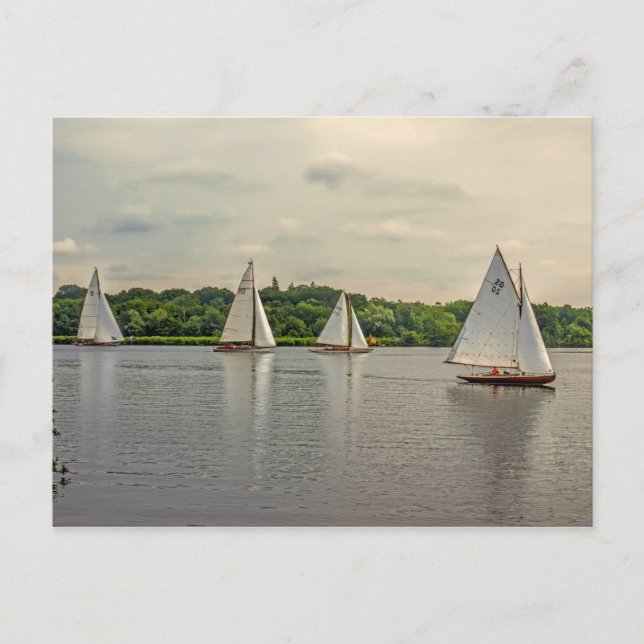 Carte Postale Voile sur Wroxham Broad. (Devant)