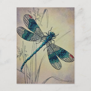 Carte Postale Voile vintage No 2 Aquarelle en laiton Art Postc