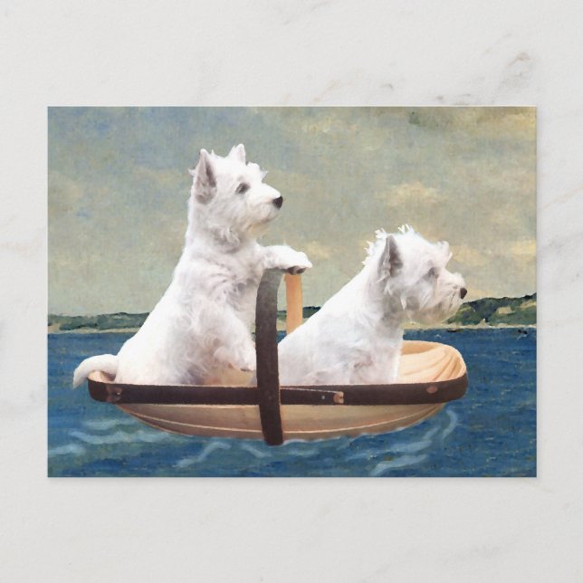 Carte Postale Voile Westies Set (Devant)