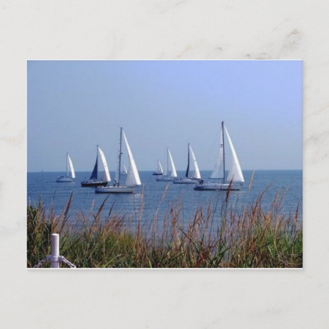 Carte Postale Voiles sur le Chesapeake (Devant)