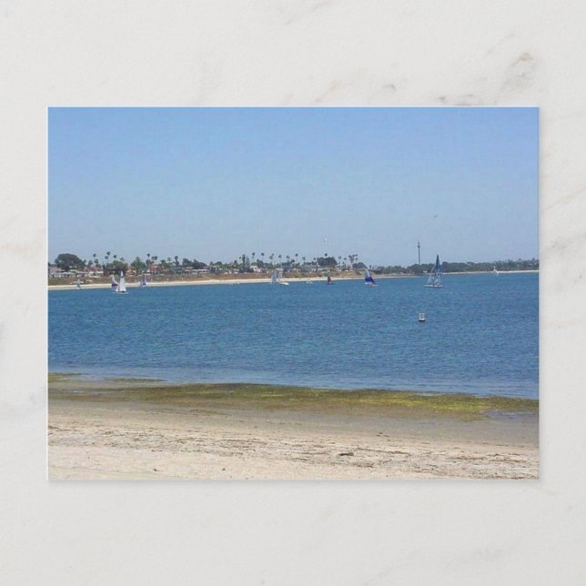 Carte Postale Voiliers de Mission Bay Water (Devant)
