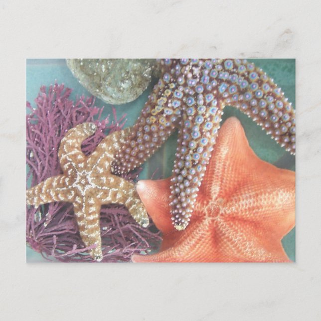 CARTE POSTALE VOIR LES ÉTOILES (Devant)