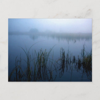 CARTE POSTALE VOISIN