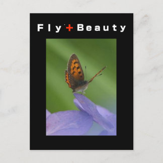 Carte Postale VOL + Beauté