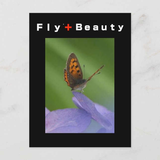 Carte Postale VOL + Beauté (Devant)
