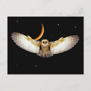 Carte postale "Vol de nuit"