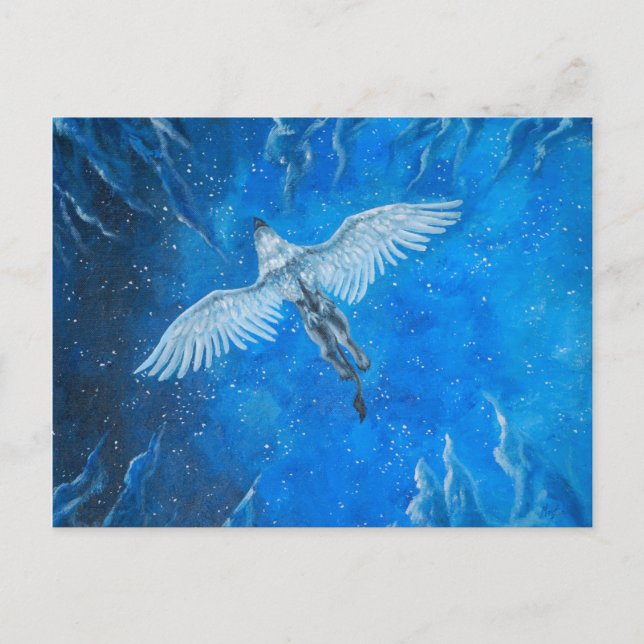 Carte Postale Vol de nuit (Devant)