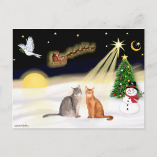 Carte Postale Vol de nuit - Deux chats abyssins