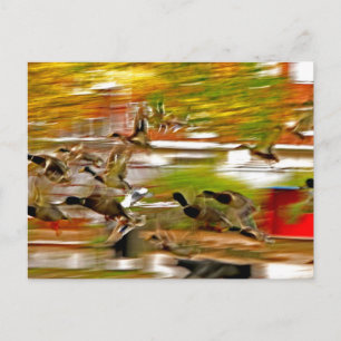 Carte Postale Voler