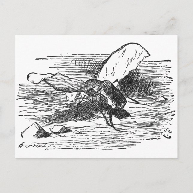 Carte Postale Voler de pain et de beurre (Devant)