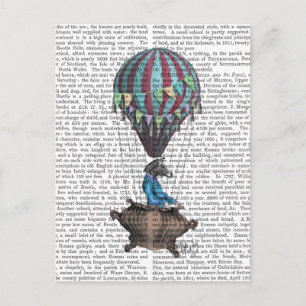 Carte Postale Voler Zebra