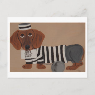 Carte Postale Voleur de friandises pour teckel prisonnier de la