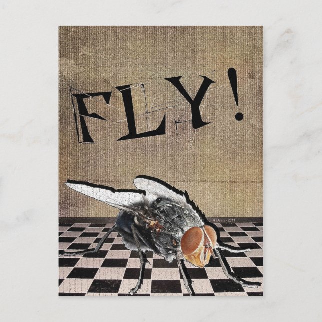 Carte Postale Volez ! Volez ! Volez ! (Devant)