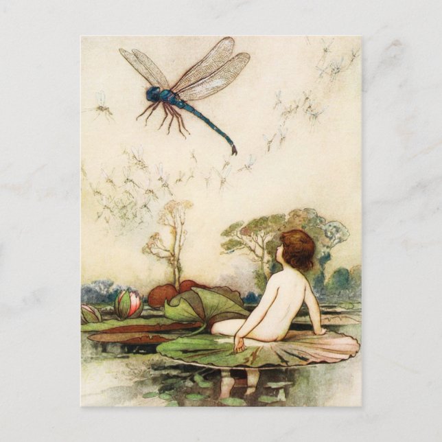 Carte Postale Vols de Dragon et Bébé d'eau (Devant)