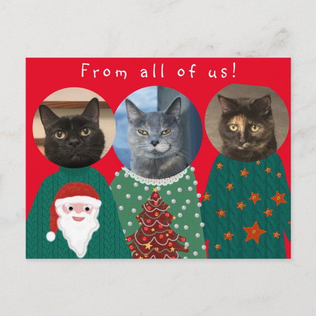 Carte Postale Vos 3 chats dans des pulls de Noël moches (Devant)