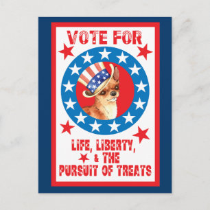 Carte Postale Vote pour Chihuahua