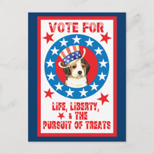Carte Postale Voter pour le Beagle