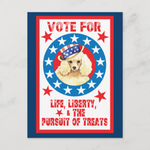 Carte Postale Voter pour les canicules miniatures