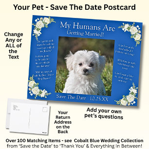 Carte Postale Votre Animal Photo Enregistrer La Date Cobalt Bleu