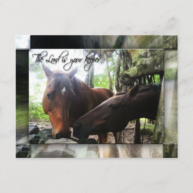 Carte Postale Votre gardien (Devant)