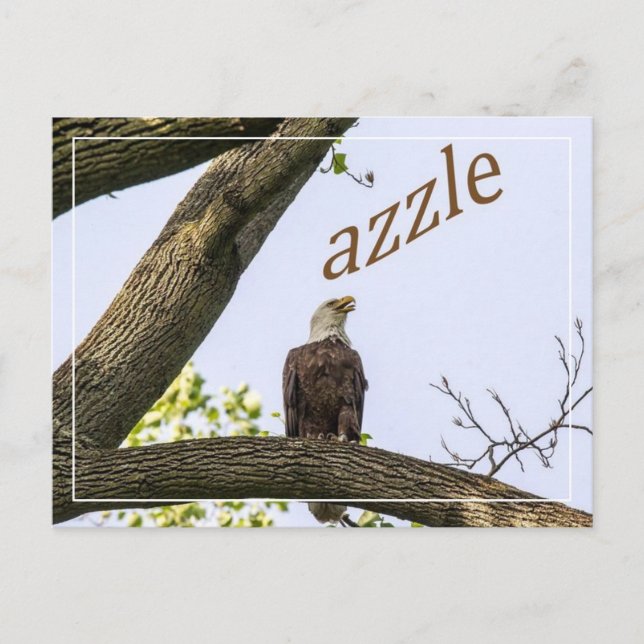 Carte Postale Votre logo ici (Devant)