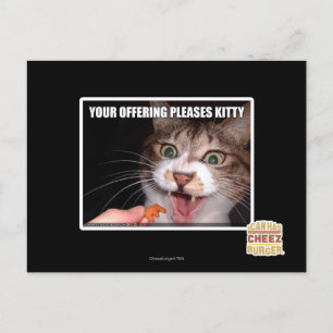 Carte Postale Votre Offre Plaise Kitty