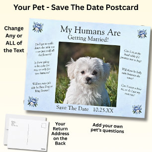 Carte Postale Votre Photo Pour Animaux - Enregistrer La Date