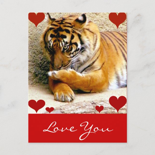 Carte Postale Vous aimez_ (Devant)
