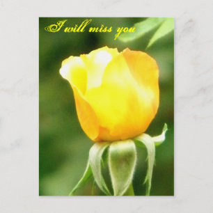 Carte Postale Vous allez manquer/À toutes occasions_Carte postal