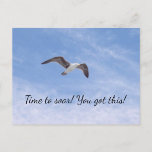 Carte Postale Vous avez cette Belle Motivation de vol d'oiseau